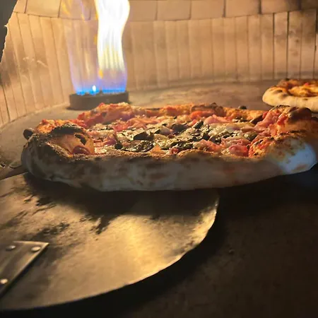 Guadalupe By On-line 2*