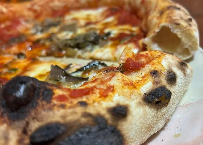 Guadalupe By On-line 2* 토레몰리노스