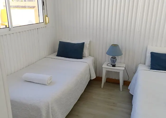 Guadalupe By On-line